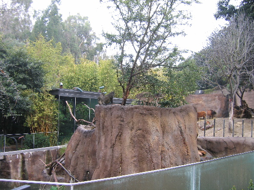 San Diego Zoo