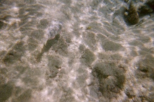 Cozumel