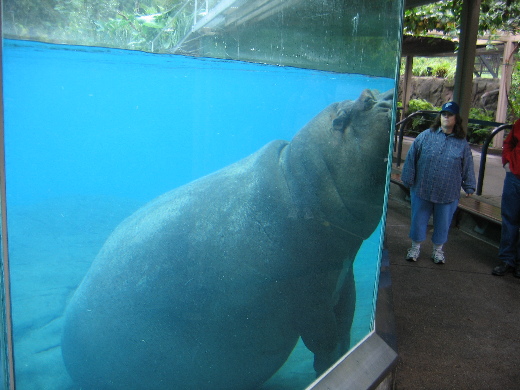 San Diego Zoo