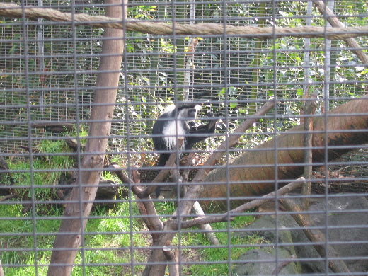 San Diego Zoo
